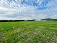 Działka Sprzedaż - świętokrzyskie, kielecki, Łopuszno, Piotrowiec
