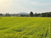 Działka Sprzedaż - świętokrzyskie, kielecki, Łopuszno, Piotrowiec