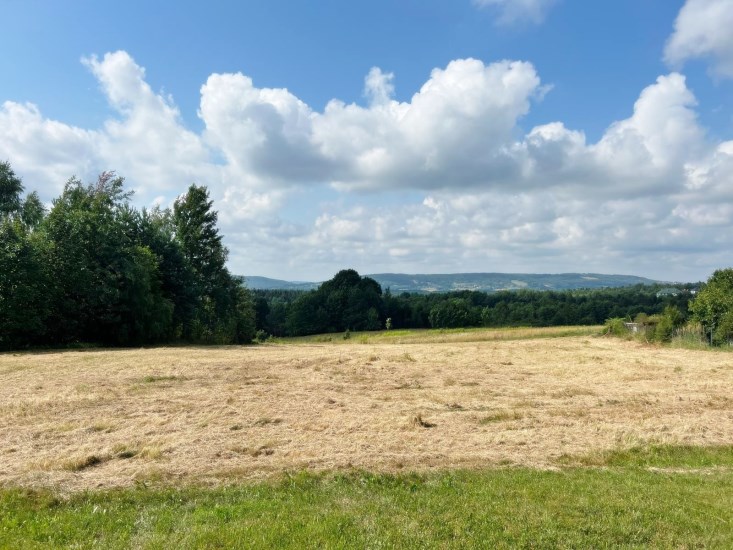 Działka Sprzedaż - świętokrzyskie, skarżyski, Łączna, Klonów