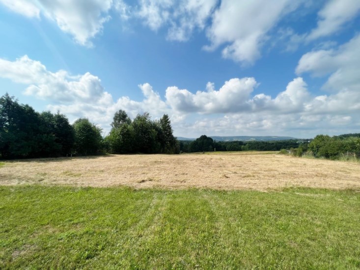 Działka Sprzedaż - świętokrzyskie, skarżyski, Łączna, Klonów
