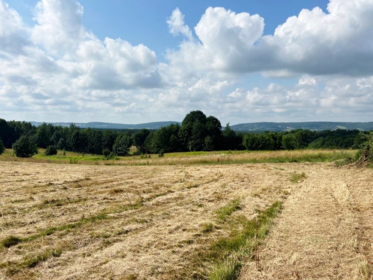Działka Sprzedaż - świętokrzyskie, skarżyski, Łączna, Klonów