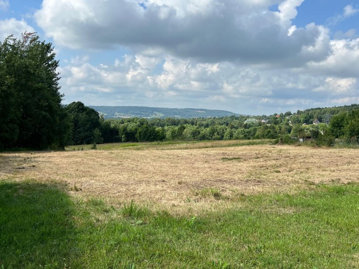 Działka Sprzedaż - świętokrzyskie, skarżyski, Łączna, Klonów