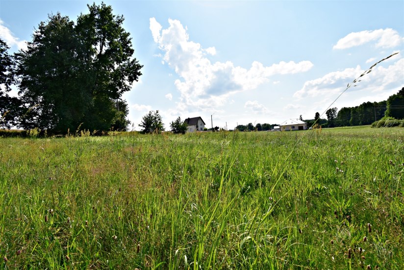 Działka Sprzedaż - świętokrzyskie, kielecki, Mniów, Grzymałków