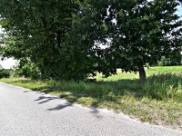 Działka Sprzedaż - świętokrzyskie, kielecki, Mniów, Grzymałków