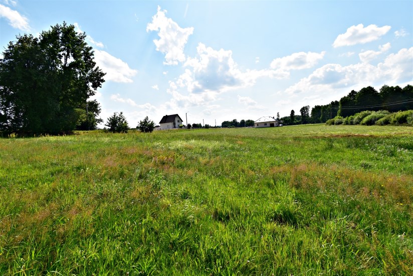 Działka Sprzedaż - świętokrzyskie, kielecki, Mniów, Grzymałków