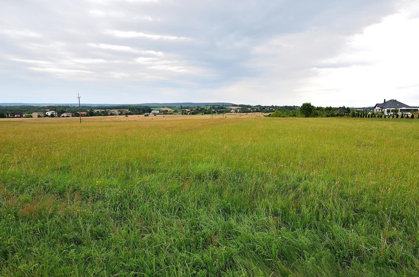 Działka Sprzedaż - świętokrzyskie, kielecki, Łopuszno, Wielebnów