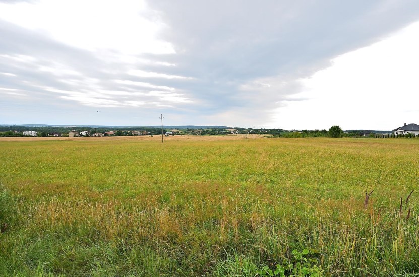 Działka Sprzedaż - świętokrzyskie, kielecki, Łopuszno, Wielebnów