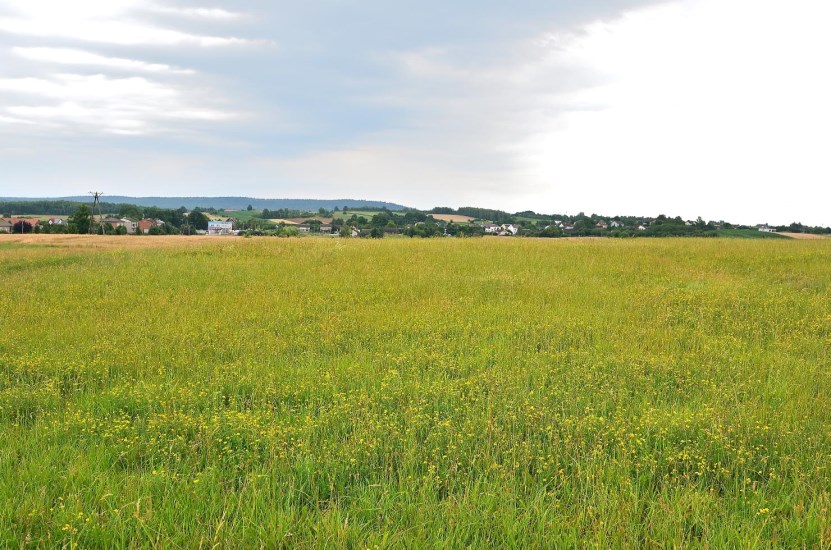 Działka Sprzedaż - świętokrzyskie, kielecki, Łopuszno, Wielebnów