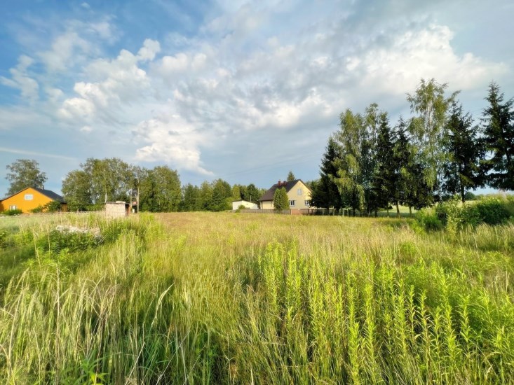 Działka Sprzedaż - świętokrzyskie, kielecki, Piekoszów, Brynica
