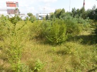 Działka Sprzedaż - świętokrzyskie, Kielce m., Kielce