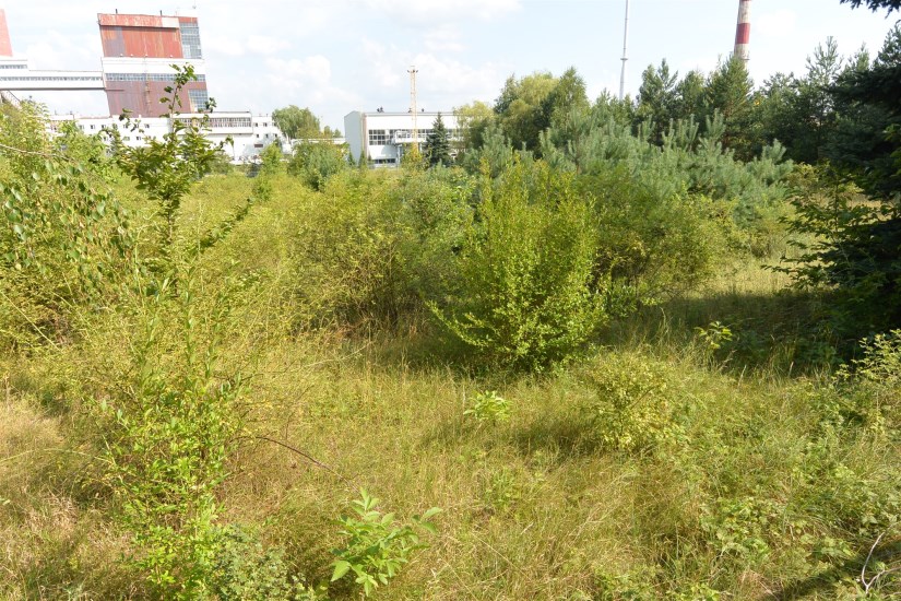 Działka Sprzedaż - świętokrzyskie, Kielce m., Kielce