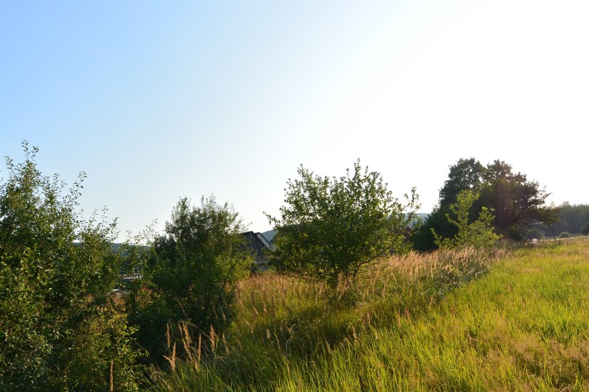 Działka Sprzedaż - świętokrzyskie, kielecki, Masłów, Ciekoty