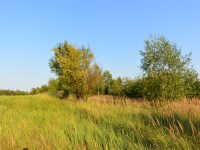 Działka Sprzedaż - świętokrzyskie, kielecki, Masłów, Ciekoty