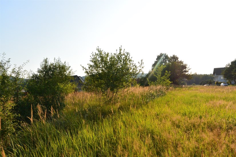 Działka Sprzedaż - świętokrzyskie, kielecki, Masłów, Ciekoty