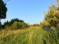 Działka Sprzedaż - świętokrzyskie, kielecki, Masłów, Ciekoty