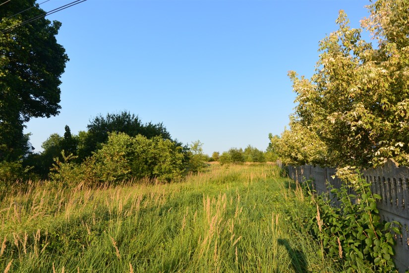 Działka Sprzedaż - świętokrzyskie, kielecki, Masłów, Ciekoty