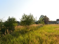 Działka Sprzedaż - świętokrzyskie, kielecki, Masłów, Ciekoty