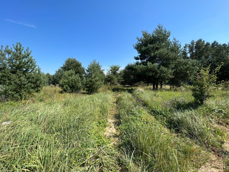 Działka Sprzedaż - świętokrzyskie, kielecki, Morawica, Bilcza