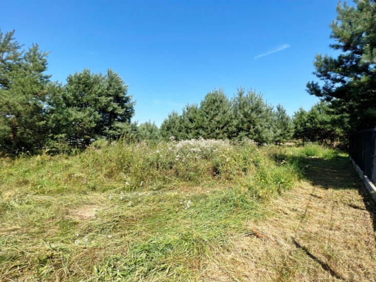 Działka Sprzedaż - świętokrzyskie, kielecki, Morawica, Bilcza