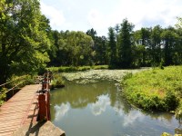 Działka Sprzedaż - świętokrzyskie, skarżyski, Skarżysko-Kamienna, Łyżwy