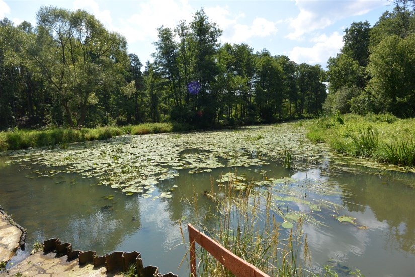 Działka Sprzedaż - świętokrzyskie, skarżyski, Skarżysko-Kamienna, Łyżwy