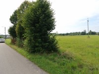 Działka Sprzedaż - świętokrzyskie, kielecki, Chmielnik, Piotrkowice