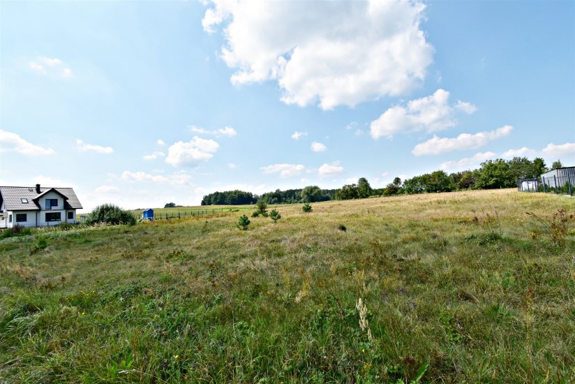 Działka Sprzedaż - świętokrzyskie, kielecki, Pierzchnica, Skrzelczyce