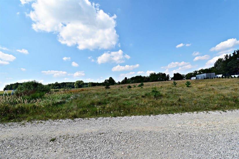 Działka Sprzedaż - świętokrzyskie, kielecki, Pierzchnica, Skrzelczyce