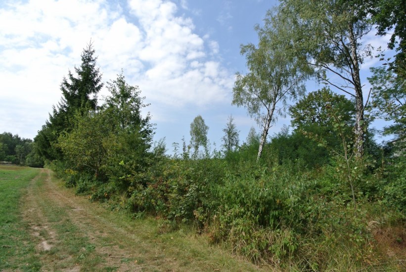 Działka Sprzedaż - świętokrzyskie, Kielce m., Kielce, Dobromyśl