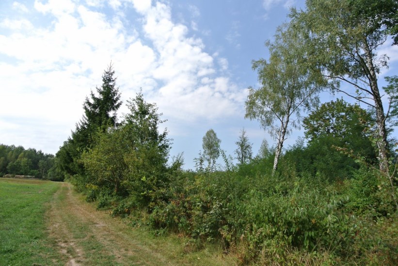 Działka Sprzedaż - świętokrzyskie, Kielce m., Kielce, Dobromyśl