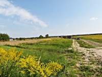 Działka Wynajem - świętokrzyskie, kielecki, Daleszyce, Suków