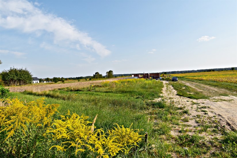 Działka Wynajem - świętokrzyskie, kielecki, Daleszyce, Suków
