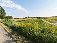 Działka Wynajem - świętokrzyskie, kielecki, Daleszyce, Suków