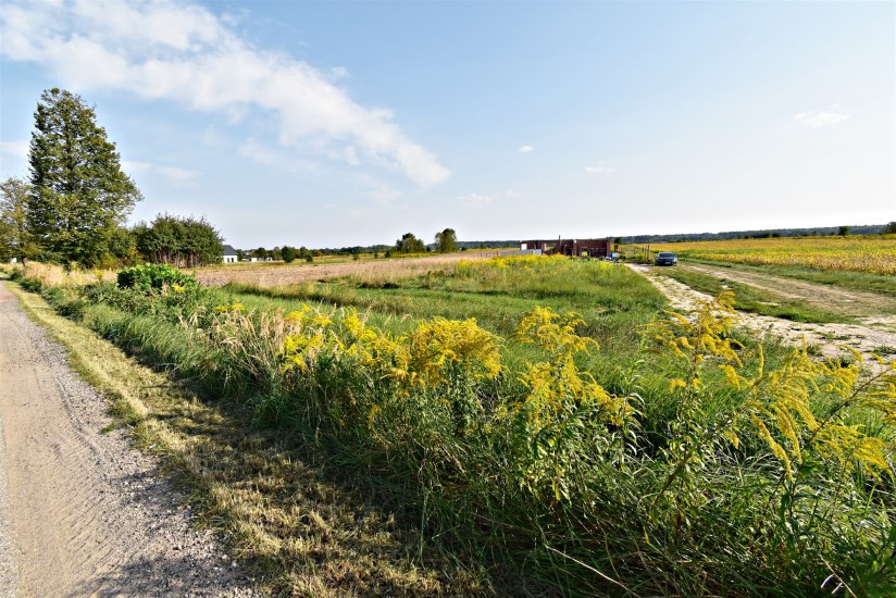 Działka Wynajem - świętokrzyskie, kielecki, Daleszyce, Suków