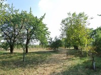 Działka Sprzedaż - świętokrzyskie, buski, Gnojno, Glinka