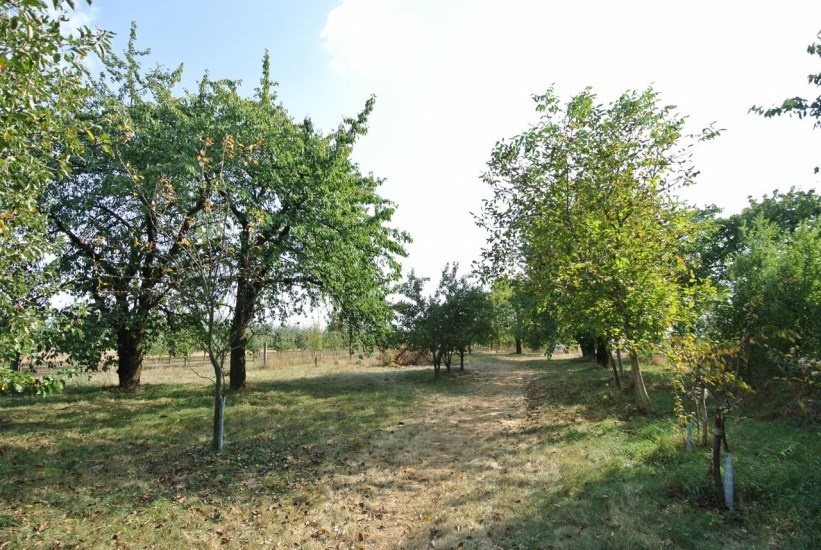 Działka Sprzedaż - świętokrzyskie, buski, Gnojno, Glinka