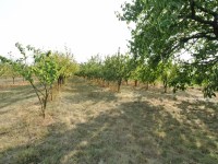 Działka Sprzedaż - świętokrzyskie, buski, Gnojno, Glinka