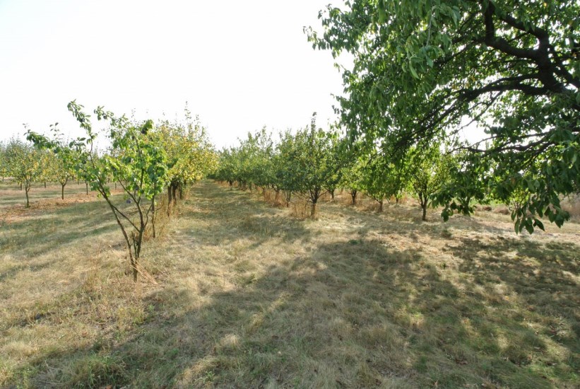 Działka Sprzedaż - świętokrzyskie, buski, Gnojno, Glinka