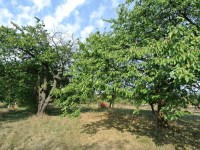 Działka Sprzedaż - świętokrzyskie, buski, Gnojno, Glinka