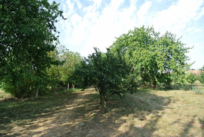 Działka Sprzedaż - świętokrzyskie, buski, Gnojno, Glinka