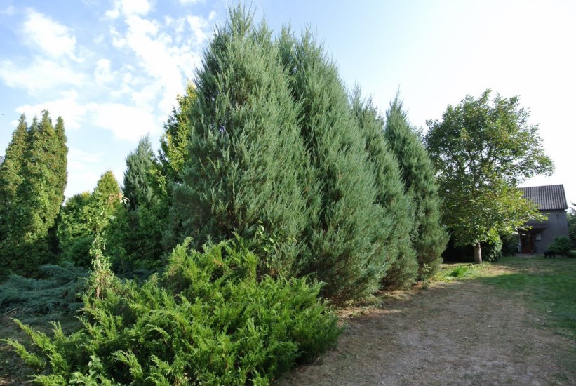 Działka Sprzedaż - świętokrzyskie, buski, Gnojno, Glinka