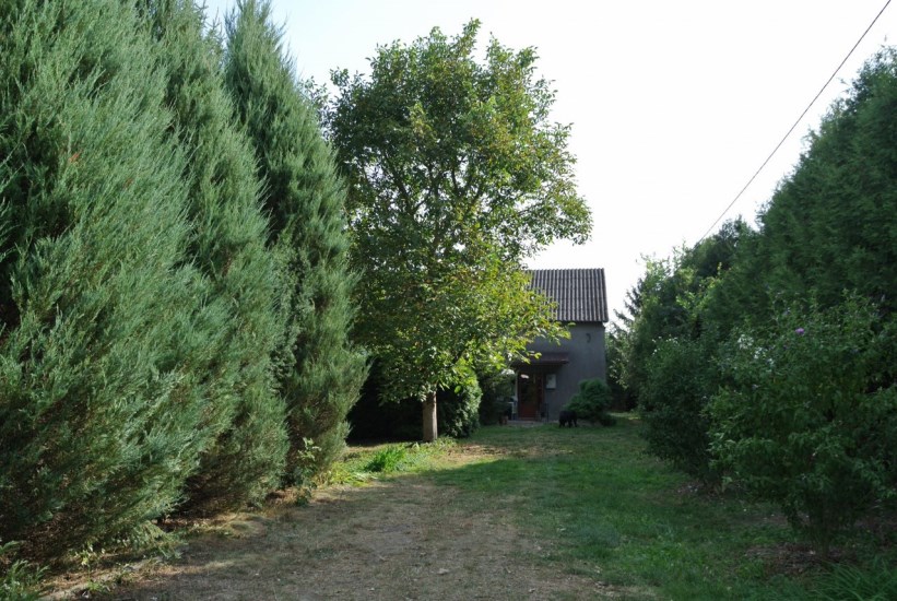 Działka Sprzedaż - świętokrzyskie, buski, Gnojno, Glinka