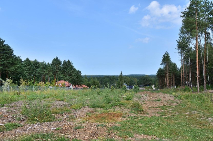 Działka Sprzedaż - świętokrzyskie, kielecki, Daleszyce, Borków