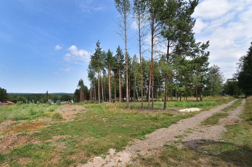 Działka Sprzedaż - świętokrzyskie, kielecki, Daleszyce, Borków