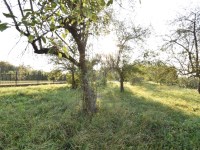 Działka Sprzedaż - świętokrzyskie, kielecki, Sitkówka-Nowiny, Bolechowice