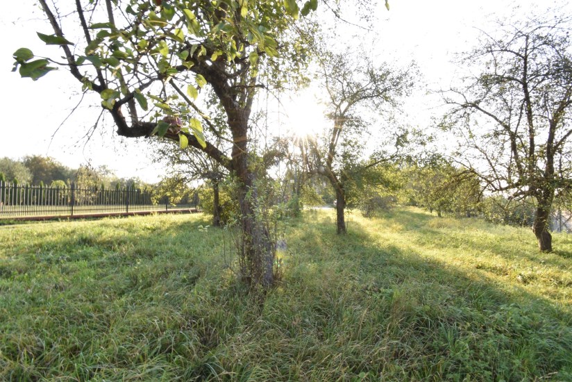 Działka Sprzedaż - świętokrzyskie, kielecki, Sitkówka-Nowiny, Bolechowice