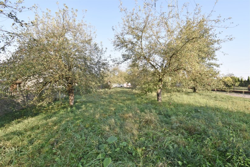 Działka Sprzedaż - świętokrzyskie, kielecki, Sitkówka-Nowiny, Bolechowice