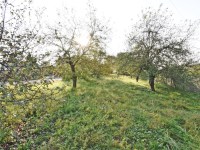 Działka Sprzedaż - świętokrzyskie, kielecki, Sitkówka-Nowiny, Bolechowice