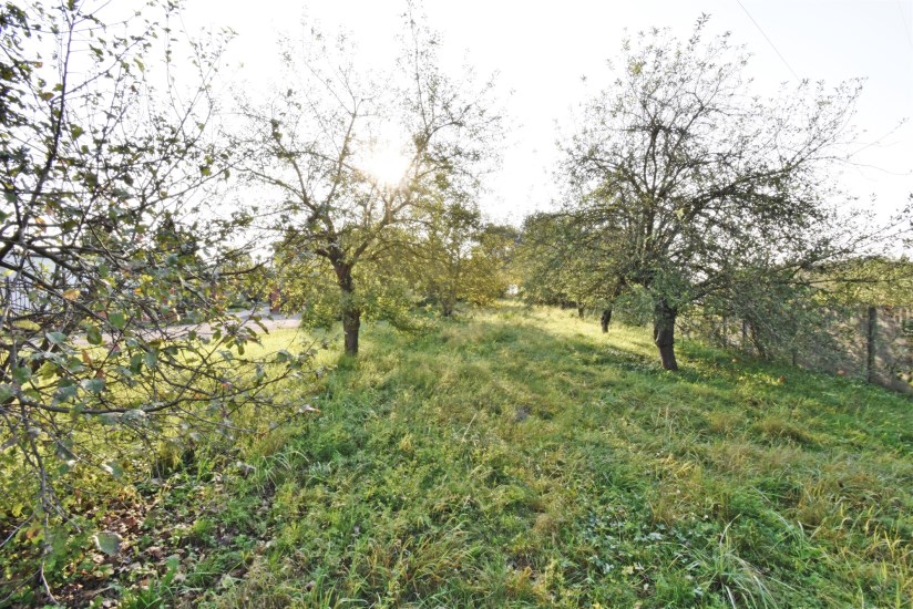 Działka Sprzedaż - świętokrzyskie, kielecki, Sitkówka-Nowiny, Bolechowice