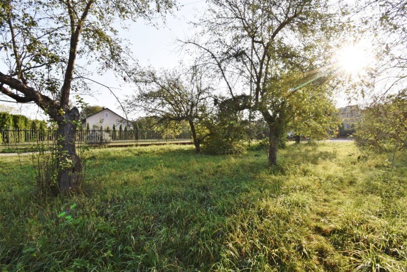 Działka Sprzedaż - świętokrzyskie, kielecki, Sitkówka-Nowiny, Bolechowice